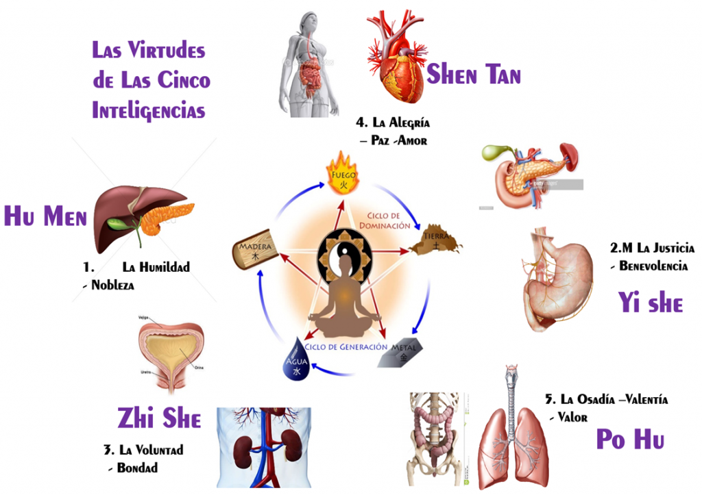 LA ALEGRIA DE VIVIR II