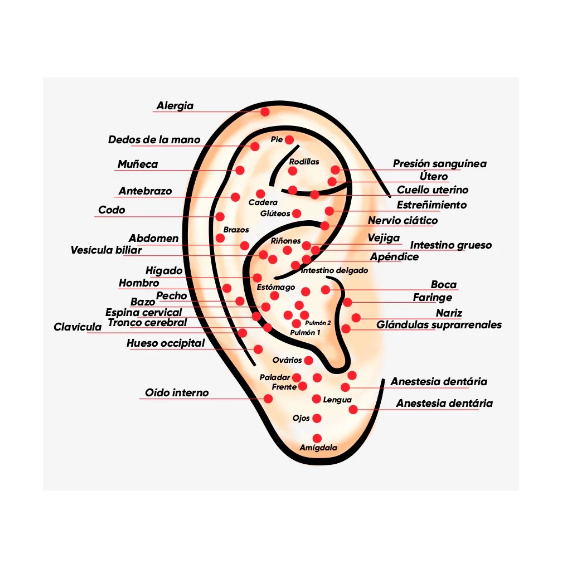 Auriculoterapia en Bogota