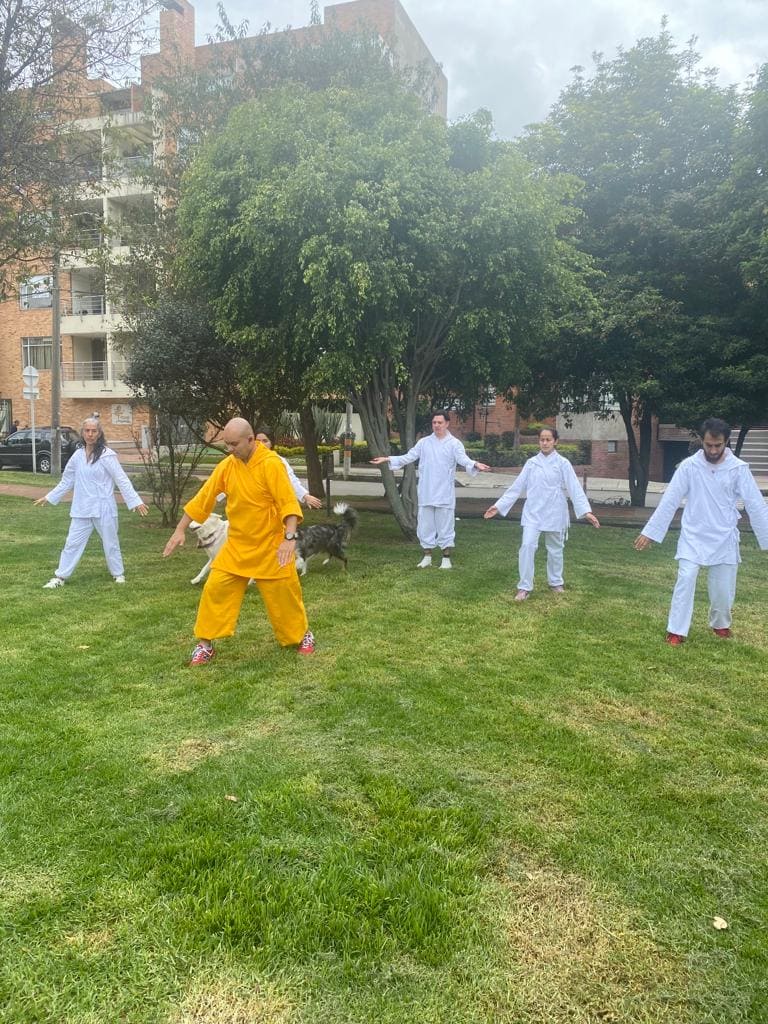 sistema de formacion en chi kung qi gong nivel 4