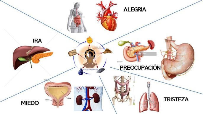 Cuarta sesion de asesoria en trabajo interior_