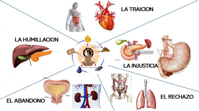 sexta sesion asesoria trabajo interior