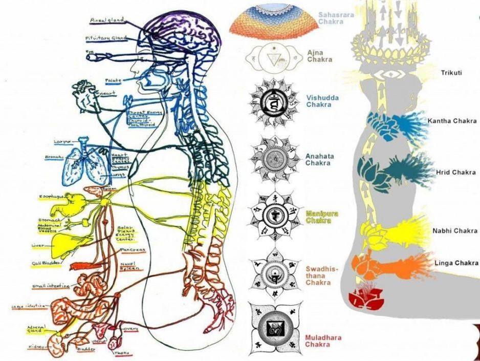 formacion en chi kung qi gong nivel 3, 2025_2