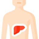 Formacion en alimentacion saludable y vegetariana_