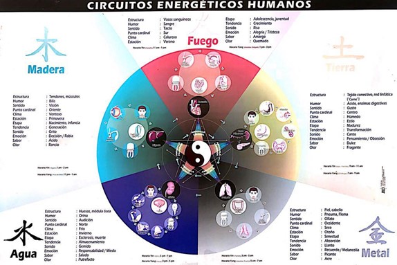 Introduccion a la medicina china